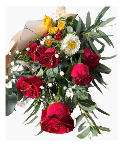 Ramo De 6 Rosas Rojas - Flores Naturales A Domicilio