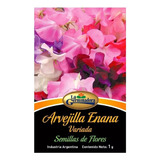 Semillas De Arvejilla Enana / Flores / La Germinadora