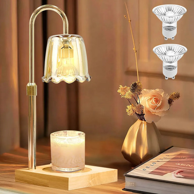 Lampara Para Velas Aromaticas De Velas Con Temporizador Lamparas Decorativas Con Forma De Pene Lámpara Calentadora De Velas En Forma Con Dos Bombillas Halógenas Dorado Transparente