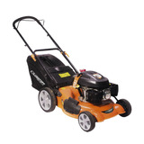 Cortadora De Pasto A Nafta Lüsqtoff Lq-510b Color Naranja Con Potencia De 5.5hp