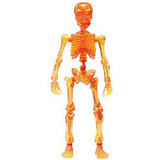 Re-ment Pose Skeleton Big Human 3 11 Fire Calaca Color Fuego