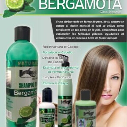 Shampoo Ms Pro De 1 L Bergamota Original