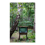 Vinilo 40x60cm Retro Vintage Antigua Tv Television P1