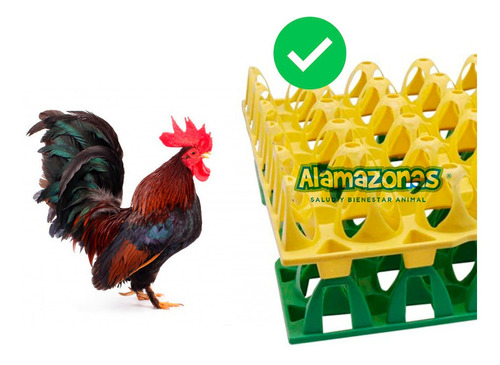 Kit 8 Charolas Filler Para 30 Huevos Gallito Gallo Azteca