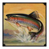 #13 - Cuadro Vintage 30 X 30 Cm / Pez Pesca Caña / No Chapa