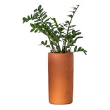 Vaso De Barro Para Plantas Cilindro Alto Cerâmica N3