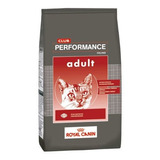 Royal Canin Performance Gato Adulto X 7,5kg Il Cane Z.norte