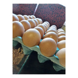 Huevos De Campo De Primera Calidad. 100% Naturales