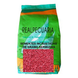 10 Kg De Sementes De Grama Bermudas (semente Importada)