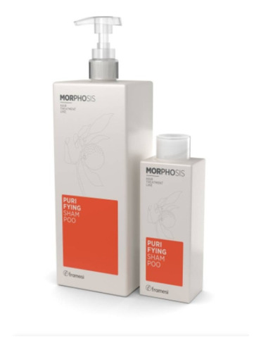 Shampoo Purifyng Morphosis Framesi Kit X2 Grande Y Chico