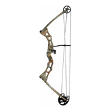 Arco Compuesto Artemis Poe Lang 40-65lb 