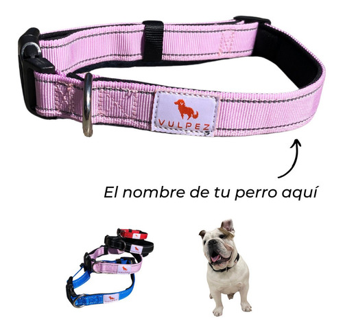 Vulpez Collar Perro Personalizable Ajustable Colores Gato