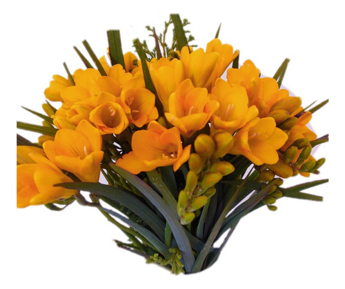 20 Bulbos Flor Fresia Color Amarillo 