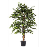 Remate Árbol Artificial - Mini Ficus 140cms