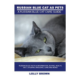 Gatos Azules Rusos Como Mascotas Datos Y Informacion Sobre L