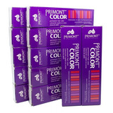 Primont Color Kit X12 Tintura Coloración Cabello 60gr 6c
