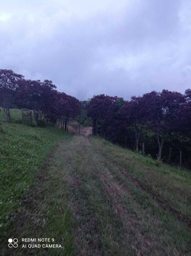 Vendo Hermosa Finca En Ibague - Imagen 4