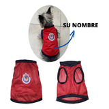 Ropa Para Perro Modelo Chivas Perro-nalizado