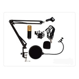 Kit Microfone Condensador Profissional Bm800 Preto Dourado