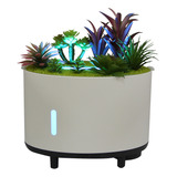 Umidificador Z Cool Mist, Alto-falante Bluetooth Para Planta
