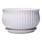 Decbde Maceta De Ceramica Blanca Extra Grande Con Bandeja C