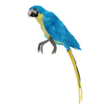 Artificial Azul Pássaros Taxidermia Decoração Ornamento