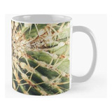 Taza Planta Grasa Calidad Premium