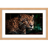 Quadro Decorativo Animais 60x40 Selvagem Moldura Virtual Zoo Cor Img02 Armação Madeira Paspatur