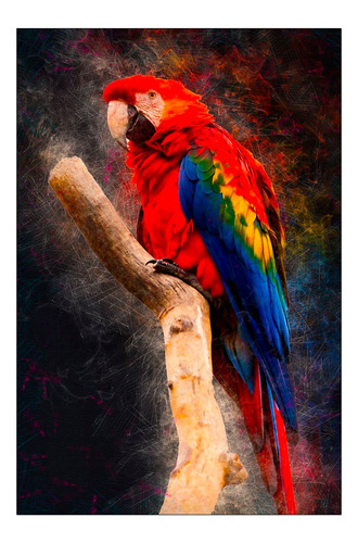 Vinilo Decorativo 20x30cm Guacamaya Loro Pajaro Exotico M1