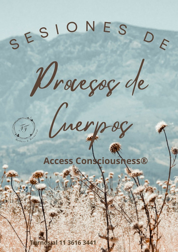 Sesión De Procesos De Cuerpo - Mtvss -access Consciousness®