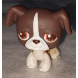 Little Pet Shop Hasbro Modelo 214 Perro Boxer 