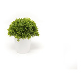 Plantin Artificial Bonsai Hojas 14cm
