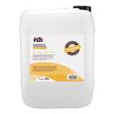 Repuesto Economico Shampoo Prof P/estetica 10 Lts