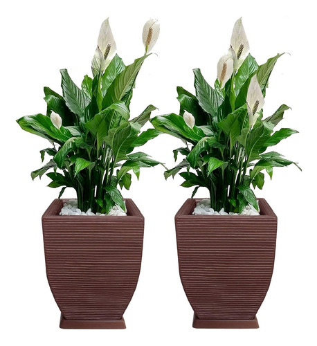 2 Vasos De Planta Decorativo + Pratos Polietileno T 45x35 Cm