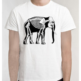 Camiseta Elefante Esqueleto Ossos Camisa Blusa