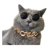 Conjunto De Cadena Dorada Y Lentes Gafas De Sol Para Gato 