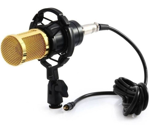 Microfone Estúdio Profissional Bm 800 Condensador Phantom