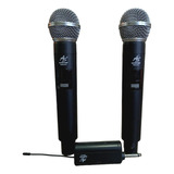 Microfono Doble Canal Recargables Portatiles