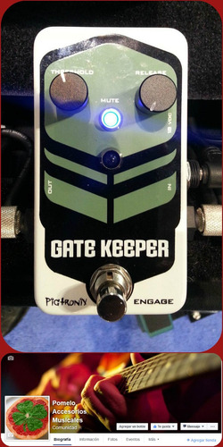 Pigtronix Gatekeeper High Speed Noise Gate Pedal
