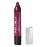 Labial Glossy Burt's Bees Lip Crayon Pacific Coast Acabado Gloss