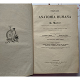 Tratado De Anatomía Humana L. Testut Tomo 3 Ed. Salvat 1912