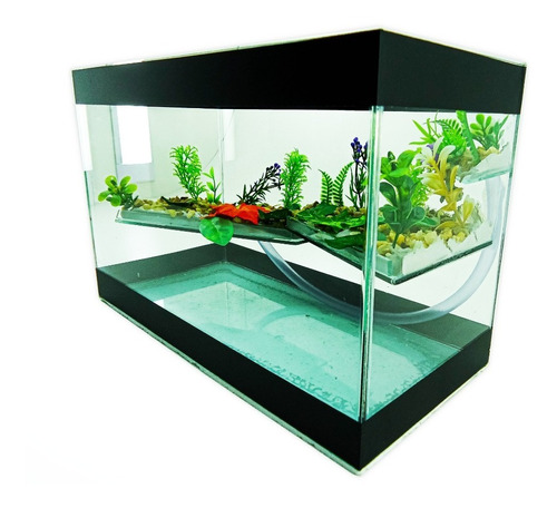 Aquário Terrário N°5 Vidro Decorado 40x19x25 Peixe Tartaruga