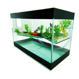 Aquário Terrário N°5 Vidro Decorado 40x19x25 Peixe Tartaruga