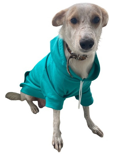 Buzo Hoodie Ropa De Perro Friza Algodon Aqua Talle 6