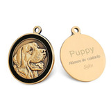 Placa Perro Gato Personalizada Identificación Razas Inoxida Color Labrador