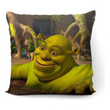 Cojín Shrek Meme Cursed 45x45cm Vudú Love 