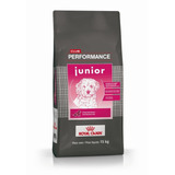 Club Performance Junior/puppy Bolsa X 15 kg