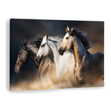 Canvas | Mega Cuadro Decorativo | Caballos | 140x90