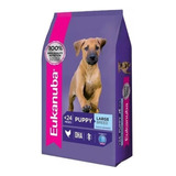 Eukanuba Large Breed 15 +3 Kg  Alimento Cachorro Perros