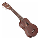 Ukelele Stagg Us20 Usado + Funda 